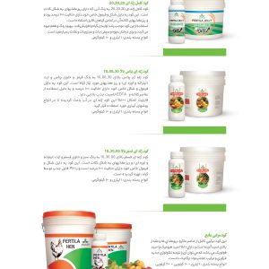 طراحی فوری تراکت با تضمین قیمت و کیفیت در دیوار چاپ